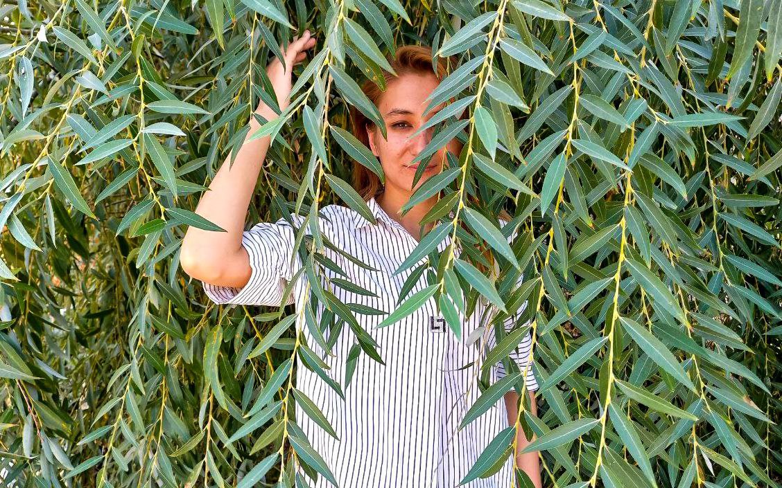 Ninachilar qarg'ishi